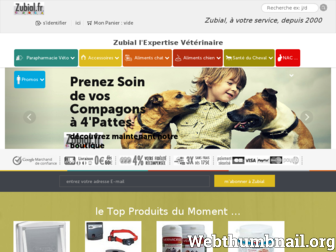 zubial.fr website preview