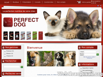 perfect-dog.fr website preview