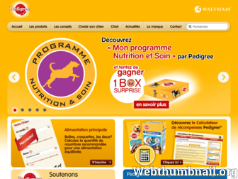 pedigree.fr website preview