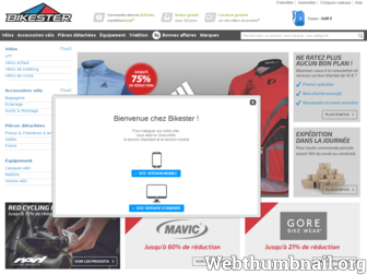 bikester.fr website preview