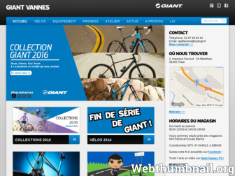 giant-vannes.fr website preview