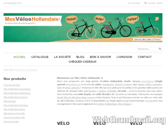 mes-velos-hollandais.com website preview