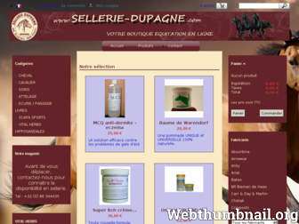 sellerie-dupagne.com website preview