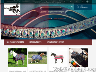 mega-horse.fr website preview
