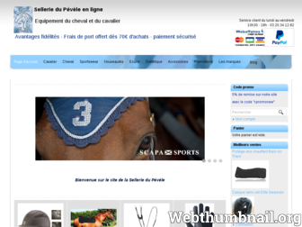 equitation-sellerie-pevele.com website preview