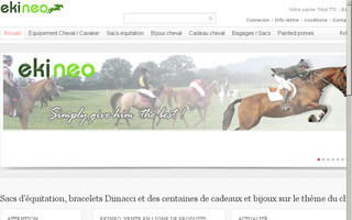ekineo.fr website preview