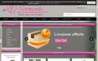 lasellerienormande.com website preview
