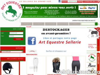 art-equestre.fr website preview