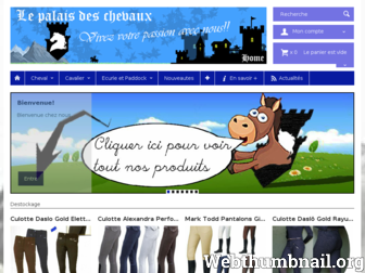 lepalaisdeschevaux.com website preview