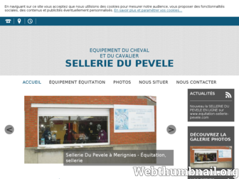 equitation-sellerie-pevele.fr website preview