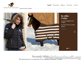 normandie-sellerie.fr website preview