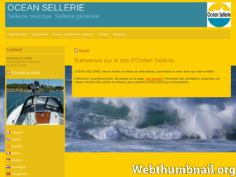 ocean-sellerie.fr website preview