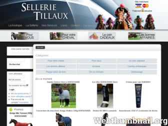 sellerie-tillaux.fr website preview