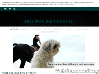 justcavalli.fr website preview