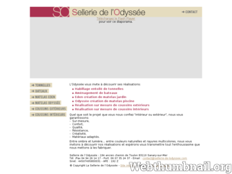 sellerie-de-lodyssee.com website preview