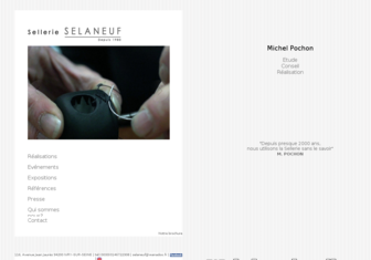 sellerie-selaneuf.com website preview