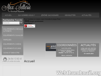 alexsellerie.com website preview