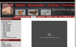 sellerie-lemaire.fr website preview
