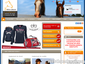 sellerie-online.be website preview
