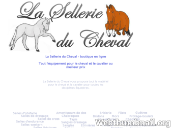 lasellerieducheval.com website preview