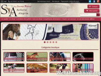 sellerie-dressage.be website preview