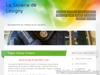 sellerielesigny.wordpress.com website preview