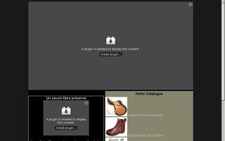 sellerieclaeys.com website preview