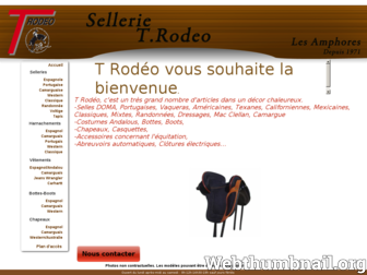 sellerietrodeo.com website preview