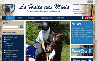 lahalleauxminis.fr website preview