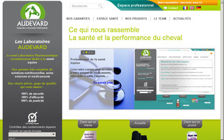 audevard.com website preview