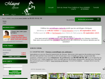 aux-petits-soins-des-chevaux.com website preview