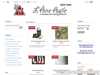 ane-agile.com website preview