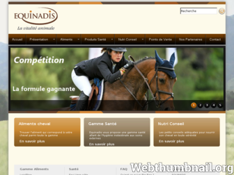 equinadis.com website preview