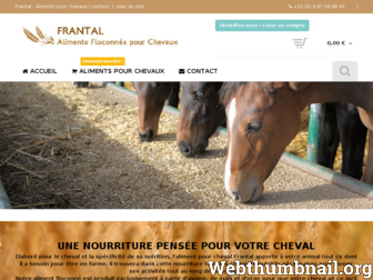 frantal.fr website preview