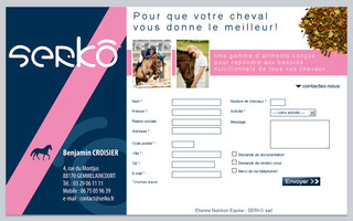 serko.fr website preview