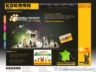 kokoonshop.fr website preview