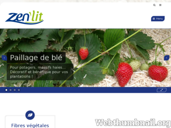 zenlit.fr website preview