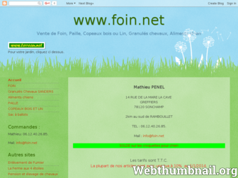 foinpaille.blogspot.com website preview