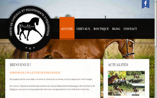 dresshorse.com website preview