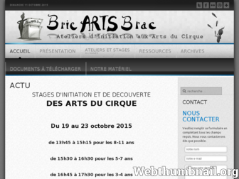 bricartsbrac.fr website preview