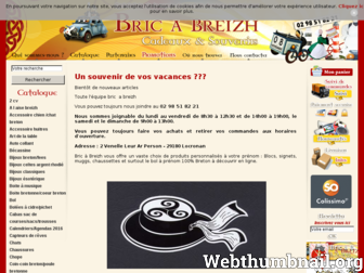 bricabreizh.fr website preview