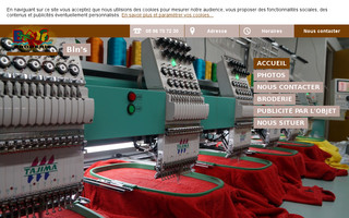 bins-broderie-martinique.fr website preview