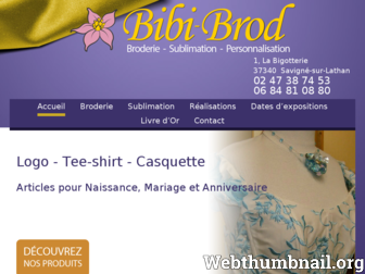 bibi-brod.com website preview