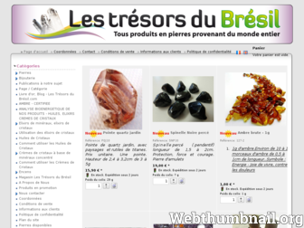 lestresorsdubresil.com website preview