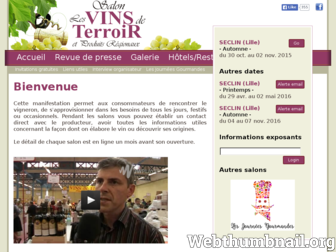 vins-de-terroir.com website preview