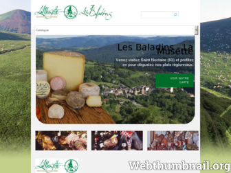 lesbaladins-lamusette.com website preview