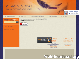 plumes-indigo.com website preview