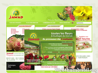 jawad.fr website preview
