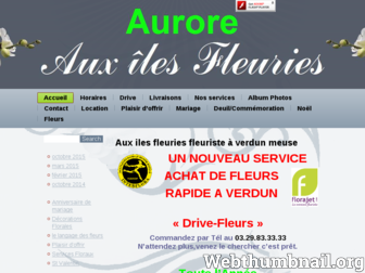 aux-iles-fleuries.fr website preview