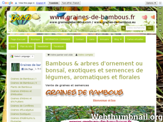 graines-de-bambous.fr website preview